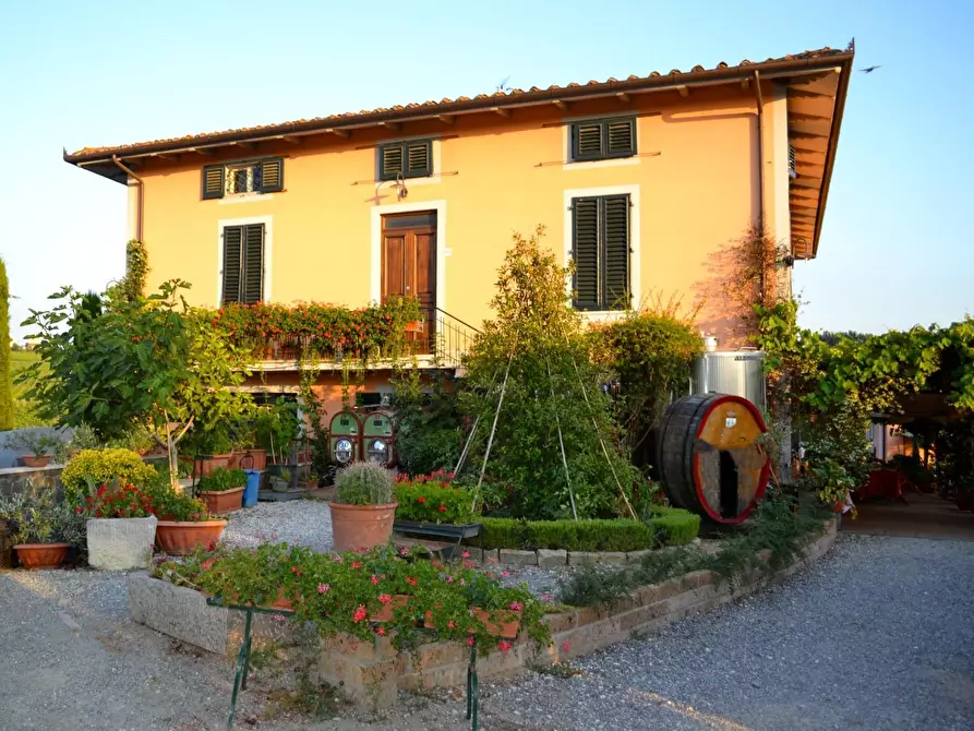 Immagine 2 di Azienda agricola in vendita  a Montecarlo