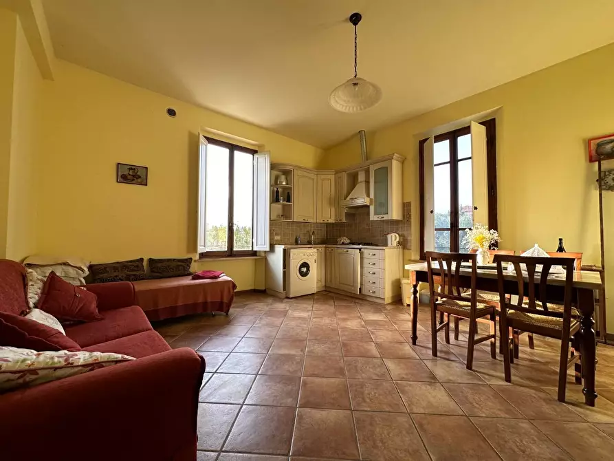 Immagine 16 di Azienda agricola in vendita  a Montecarlo