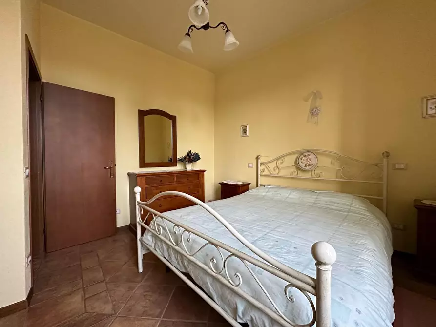 Immagine 25 di Azienda agricola in vendita  a Montecarlo