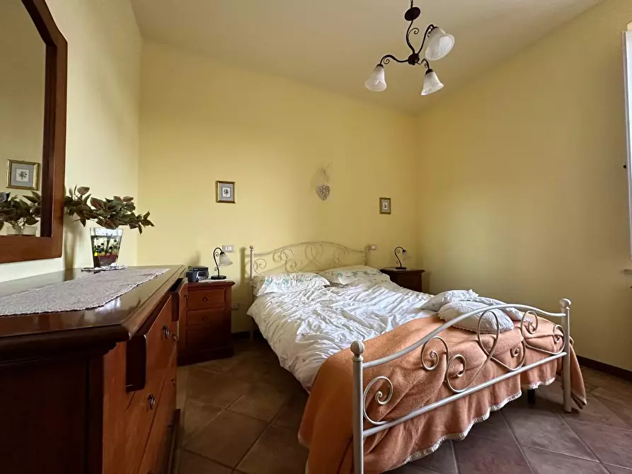 Immagine 12 di Azienda agricola in vendita  a Montecarlo