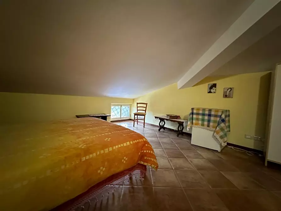 Immagine 28 di Azienda agricola in vendita  a Montecarlo