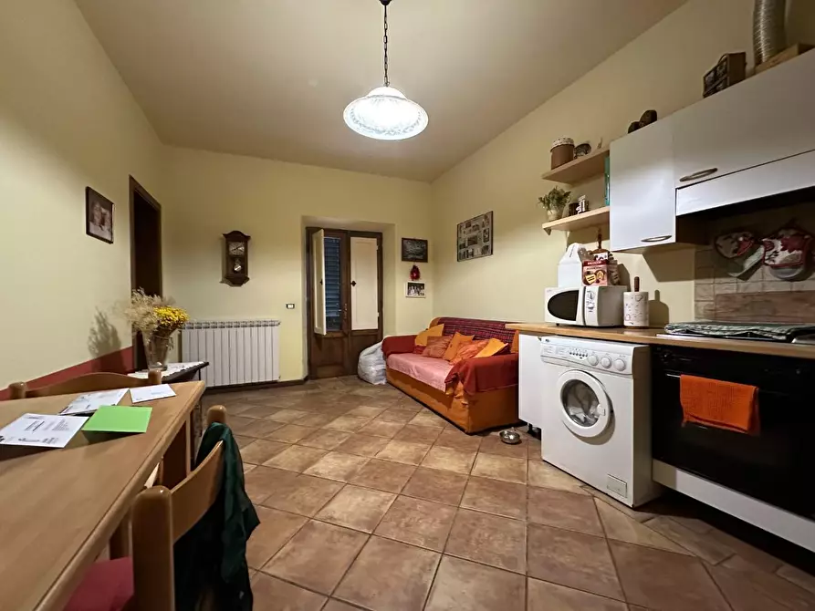 Immagine 31 di Azienda agricola in vendita  a Montecarlo