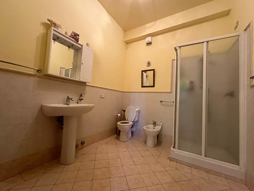 Immagine 15 di Azienda agricola in vendita  a Montecarlo