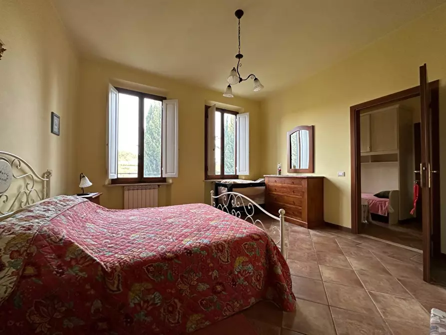 Immagine 20 di Azienda agricola in vendita  a Montecarlo