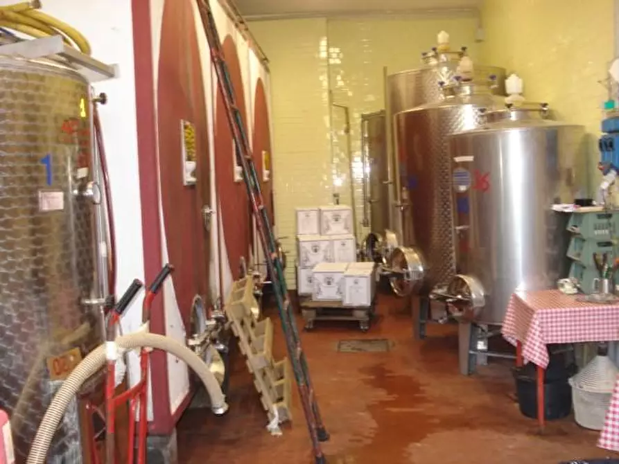 Immagine 8 di Azienda agricola in vendita  a Montecarlo