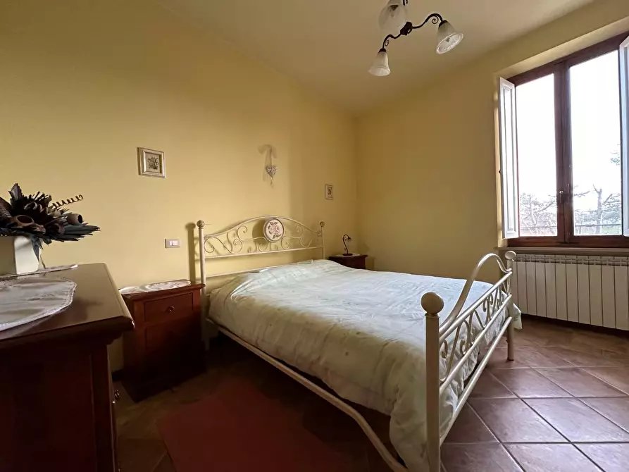 Immagine 24 di Azienda agricola in vendita  a Montecarlo