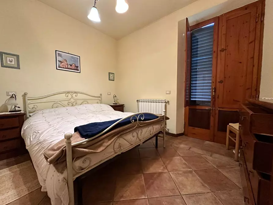 Immagine 32 di Azienda agricola in vendita  a Montecarlo