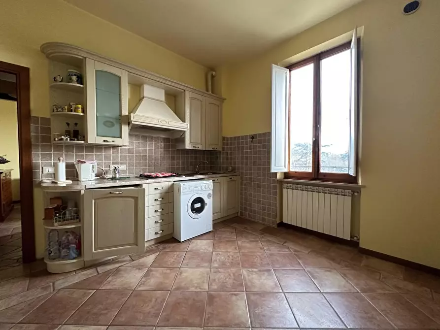 Immagine 27 di Azienda agricola in vendita  a Montecarlo