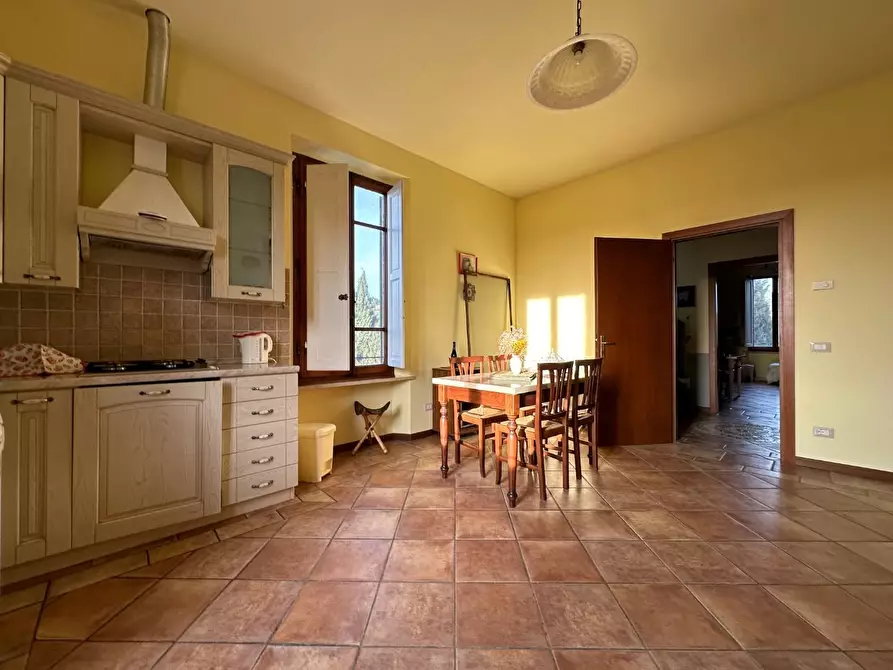 Immagine 17 di Azienda agricola in vendita  a Montecarlo