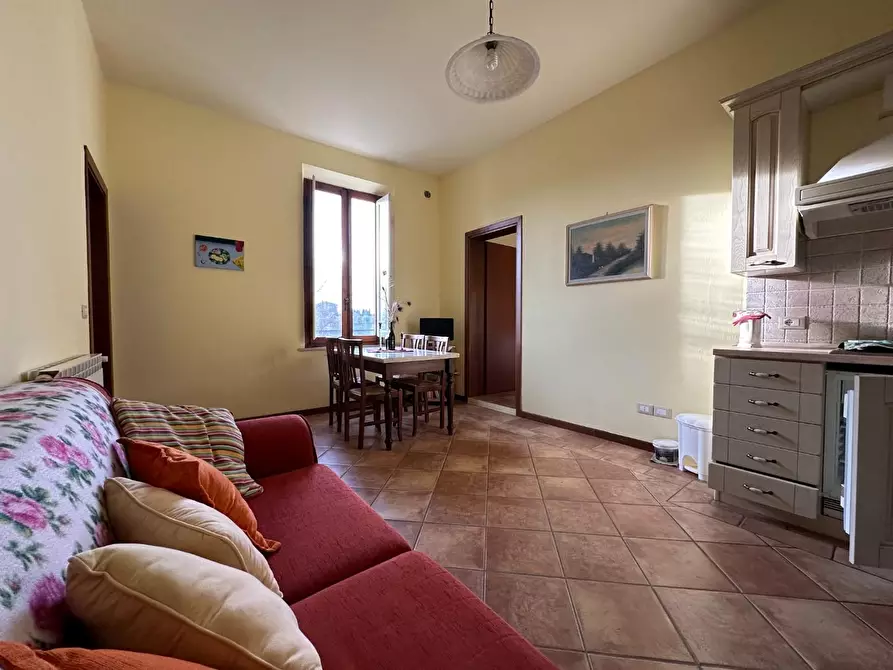 Immagine 10 di Azienda agricola in vendita  a Montecarlo