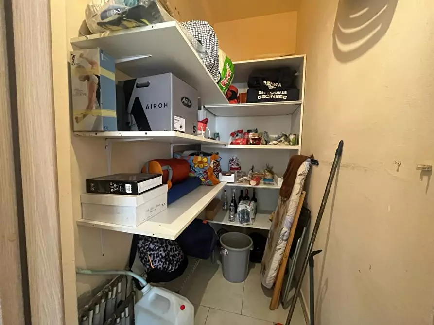 Immagine 24 di Appartamento in vendita  a Bibbona