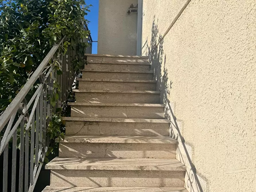 Immagine 22 di Appartamento in vendita  a Bibbona