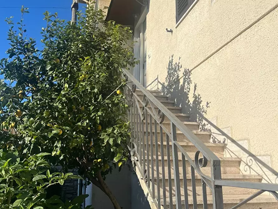 Immagine 23 di Appartamento in vendita  a Bibbona