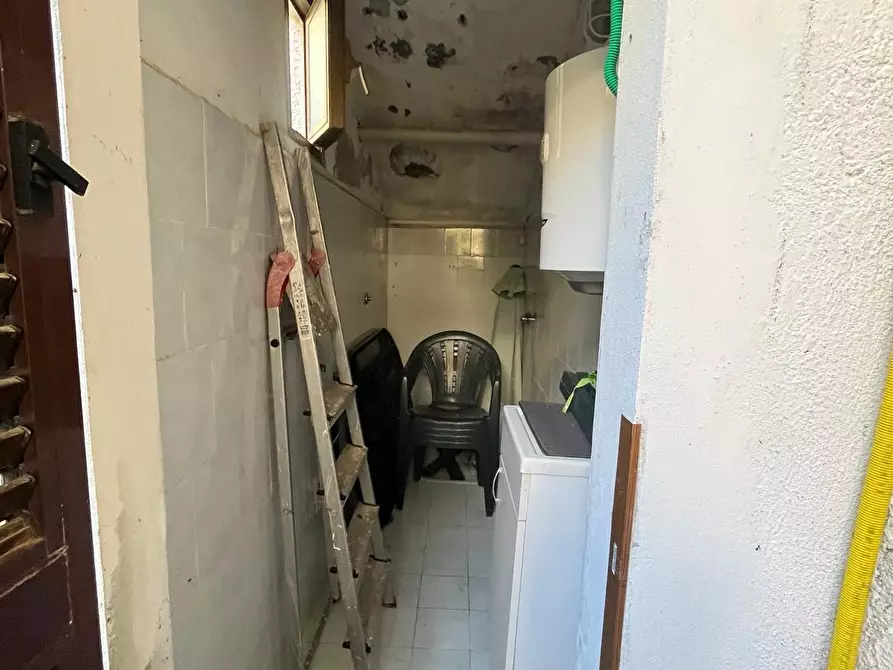 Immagine 21 di Appartamento in vendita  a Bibbona