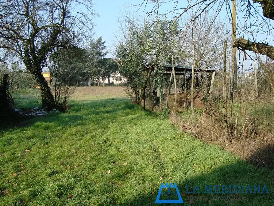 Immagine 15 di Terratetto in vendita  a Larciano