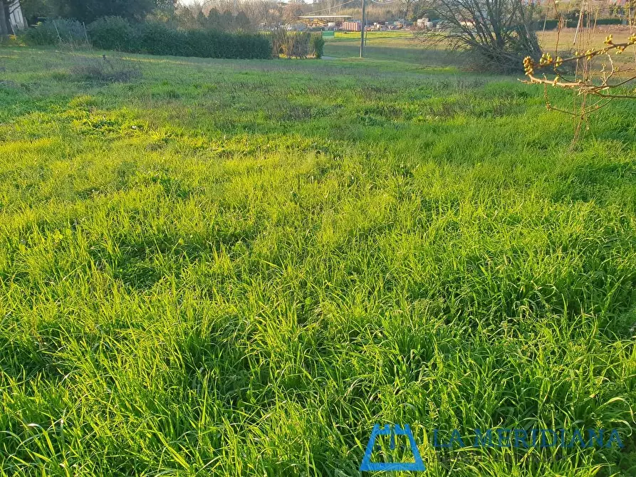 Immagine 12 di Terratetto in vendita  a Larciano