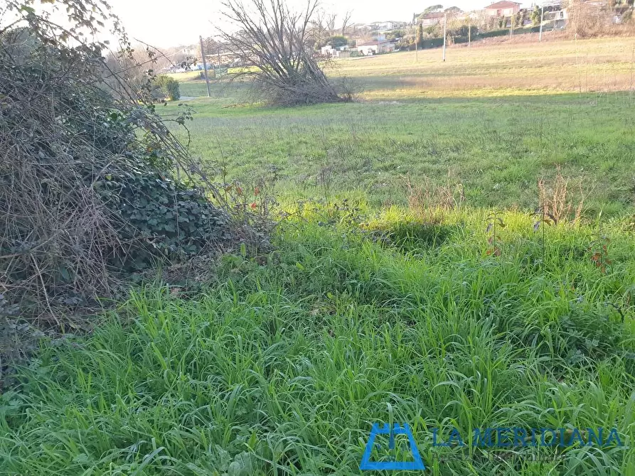 Immagine 11 di Terratetto in vendita  a Larciano