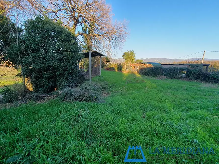 Immagine 10 di Terratetto in vendita  a Larciano