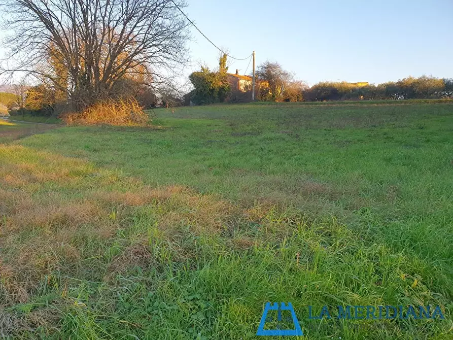 Immagine 3 di Terratetto in vendita  a Larciano