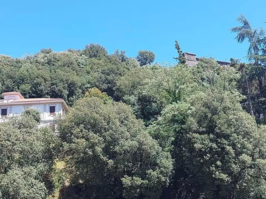 Immagine 48 di Villa in vendita  a Aulla