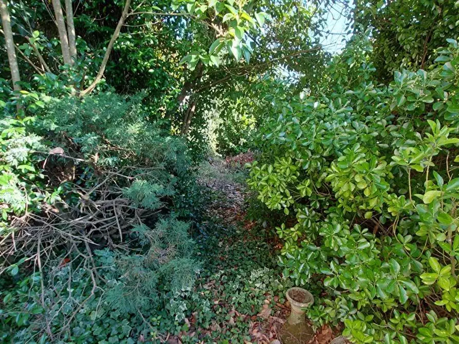 Immagine 47 di Villa in vendita  a Aulla