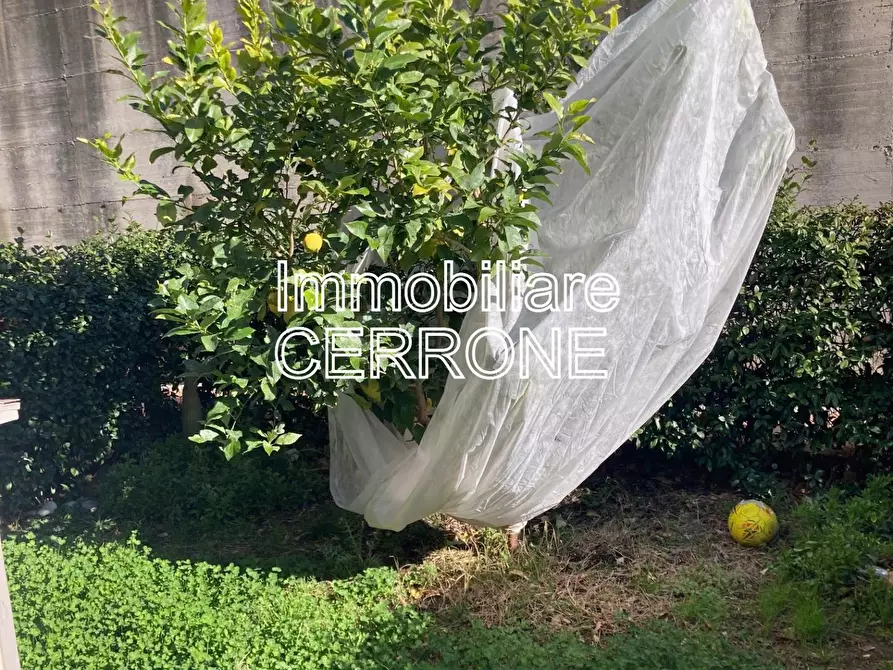 Immagine 22 di Appartamento in vendita  a Riparbella