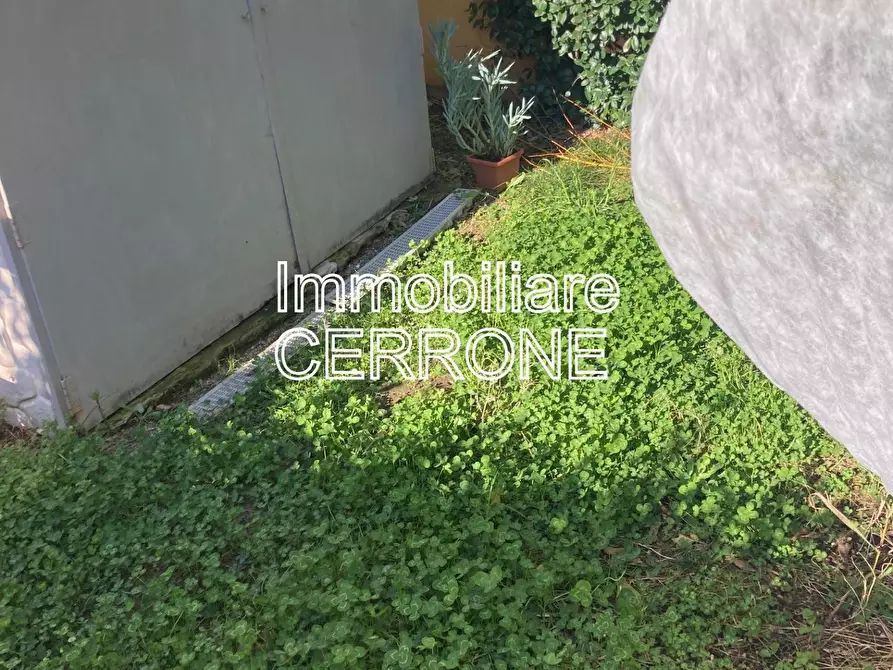 Immagine 23 di Appartamento in vendita  a Riparbella