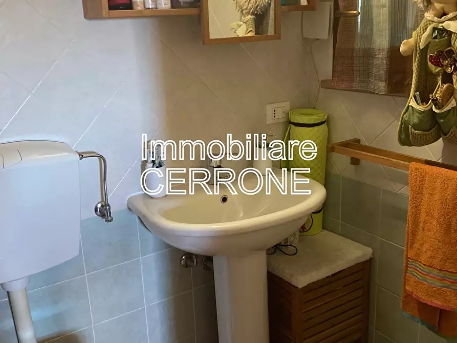 Immagine 21 di Appartamento in vendita  a Riparbella