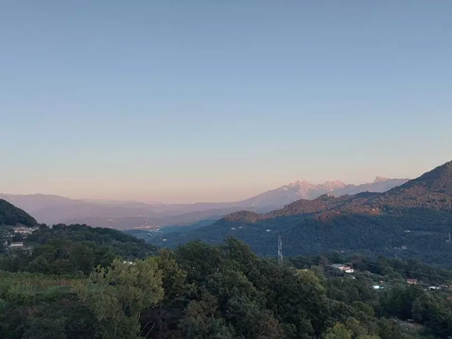 Immagine 25 di Casa semindipendente in vendita  a Podenzana