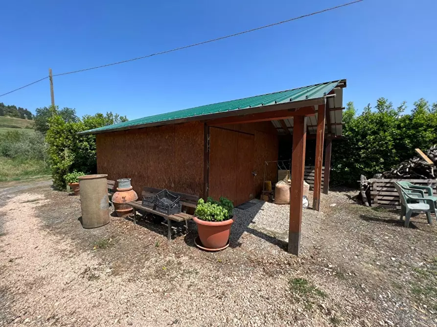 Immagine 2 di Terreno agricolo in vendita  a Bibbona