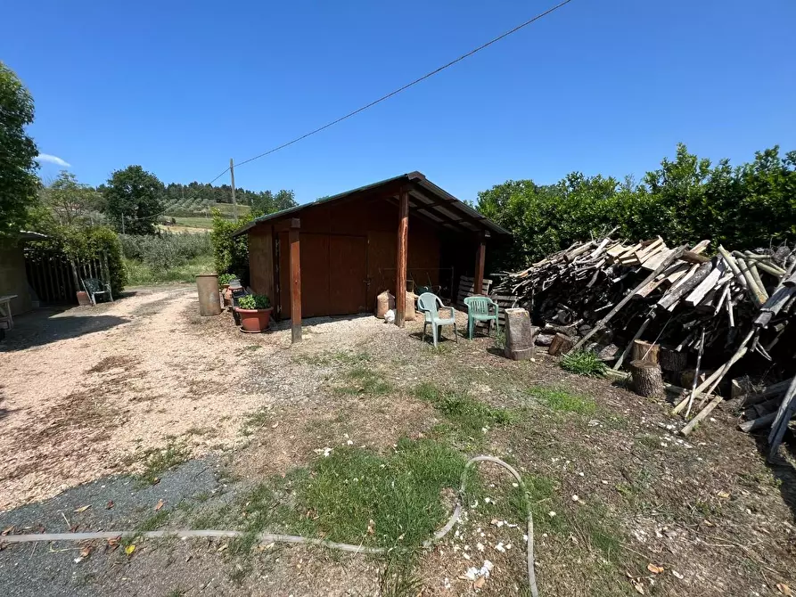 Immagine 9 di Terreno agricolo in vendita  a Bibbona