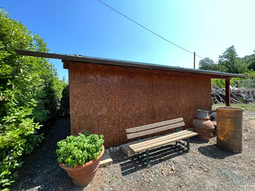 Immagine 3 di Terreno agricolo in vendita  a Bibbona