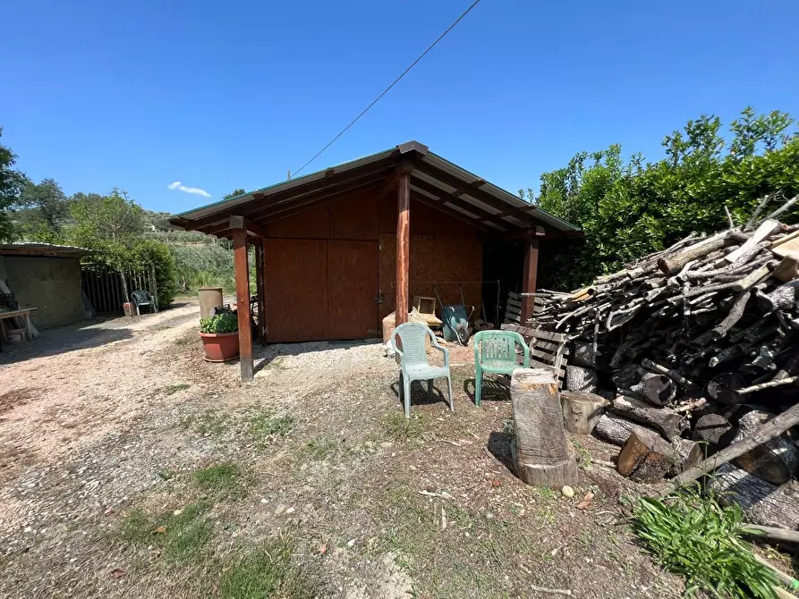 Immagine 10 di Terreno agricolo in vendita  a Bibbona