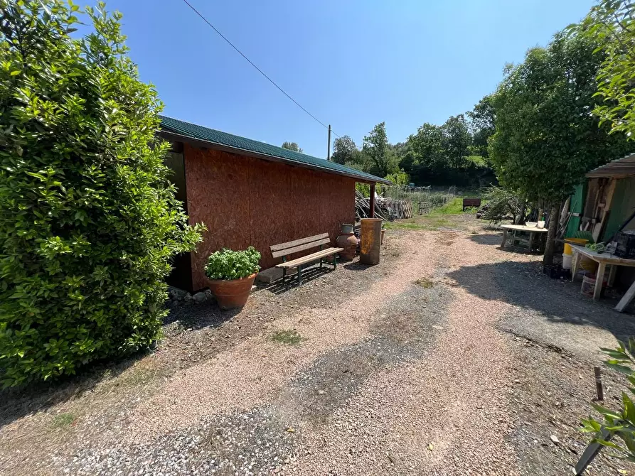Immagine 8 di Terreno agricolo in vendita  a Bibbona