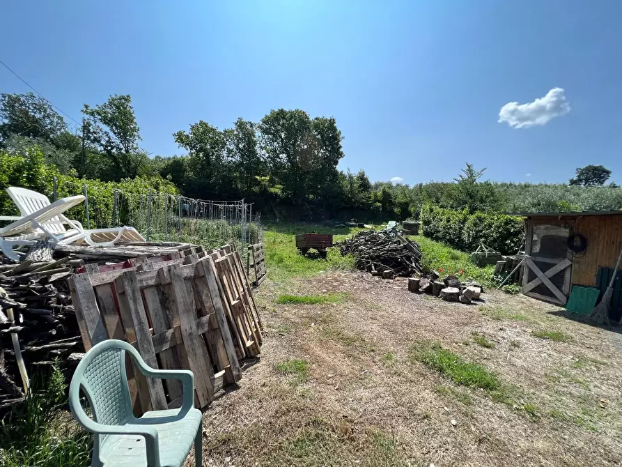 Immagine 11 di Terreno agricolo in vendita  a Bibbona