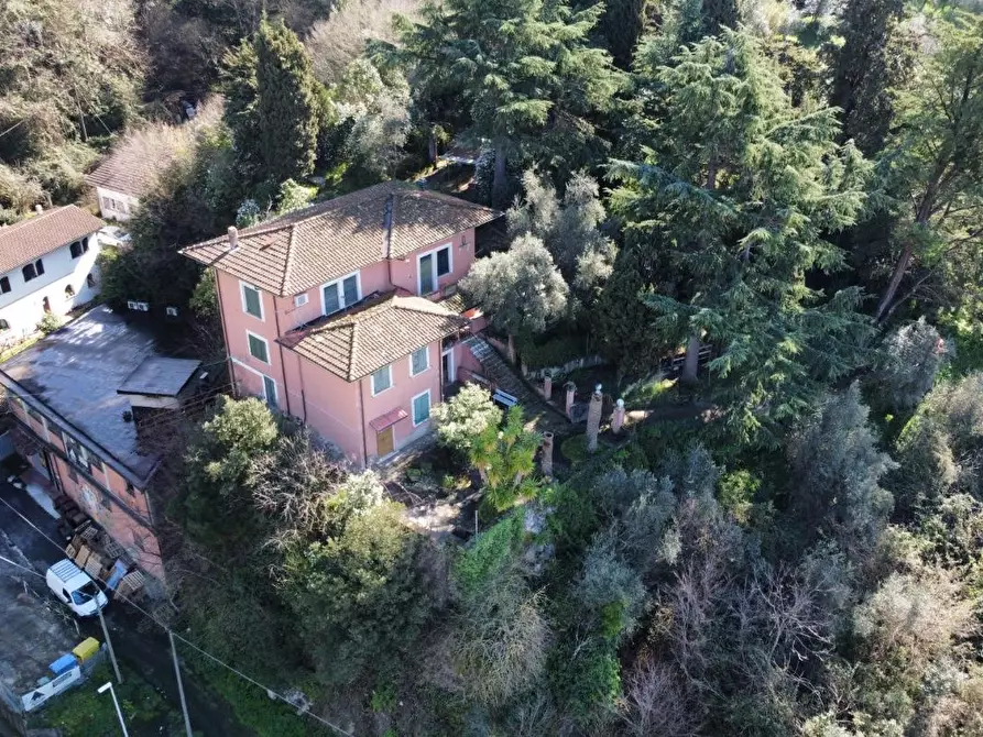 Immagine 16 di Villa in vendita  a Massa