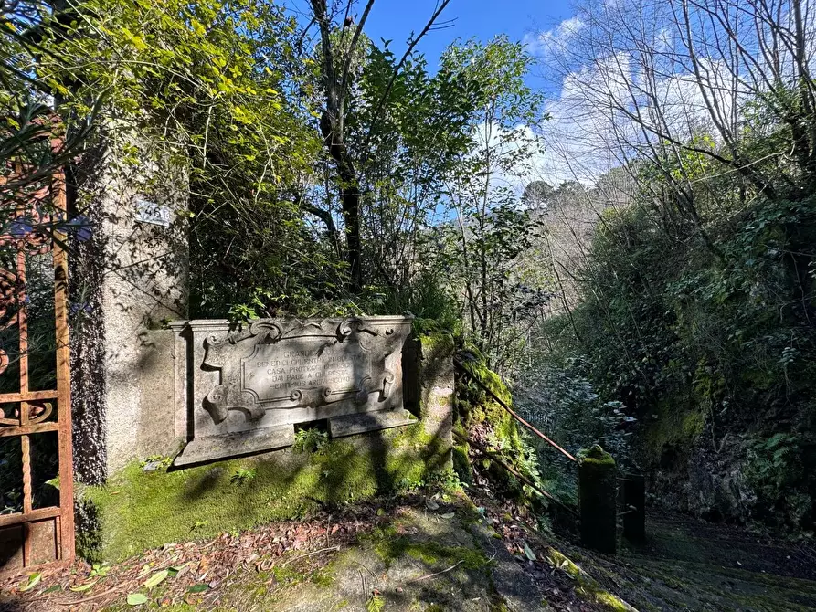 Immagine 10 di Villa in vendita  a Massa