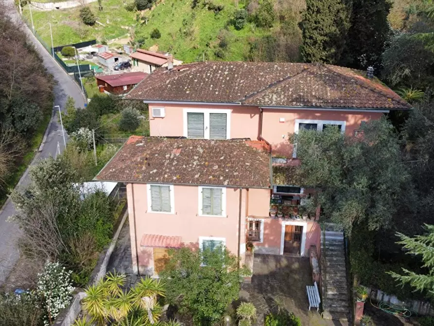 Immagine 18 di Villa in vendita  a Massa