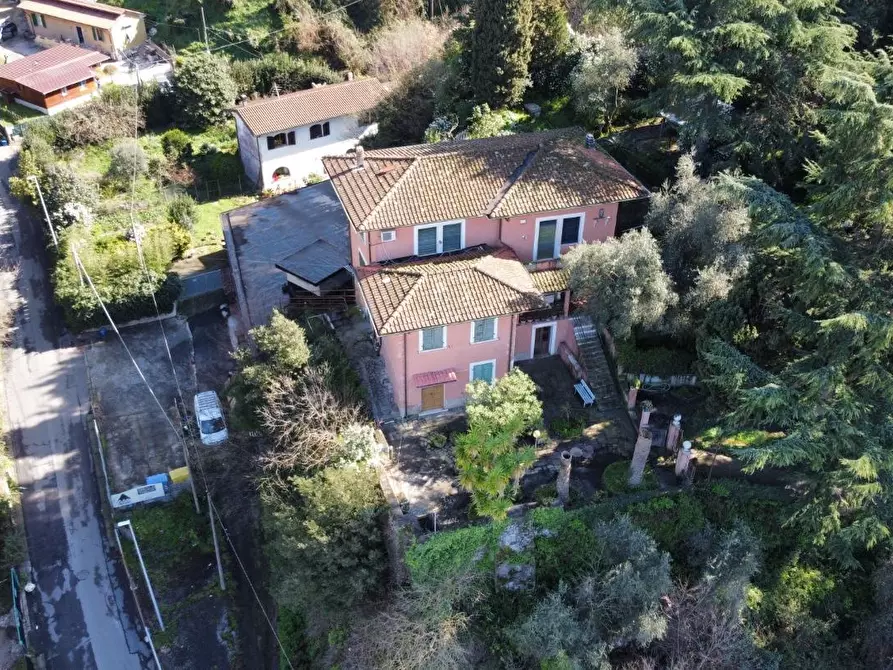 Immagine 15 di Villa in vendita  a Massa