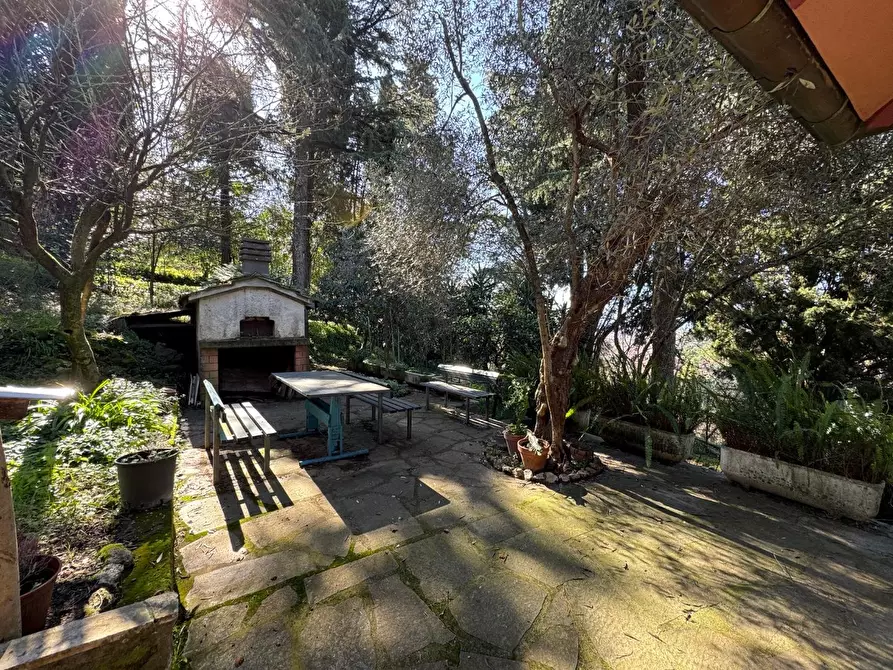 Immagine 7 di Villa in vendita  a Massa