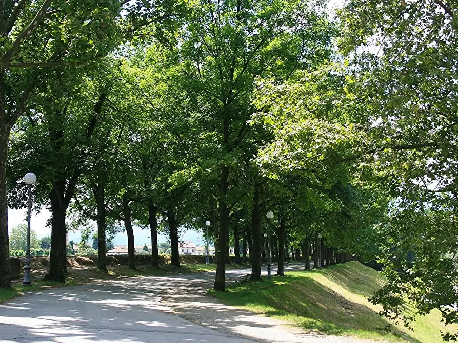 Immagine 23 di Terratetto in vendita  a Lucca