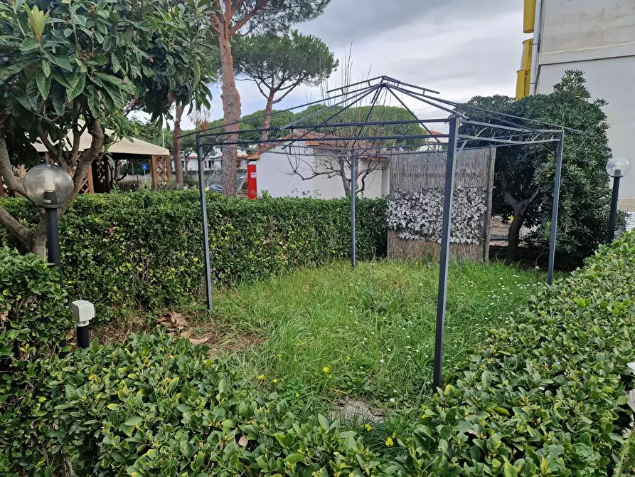 Immagine 11 di Appartamento in vendita  a Rosignano Marittimo