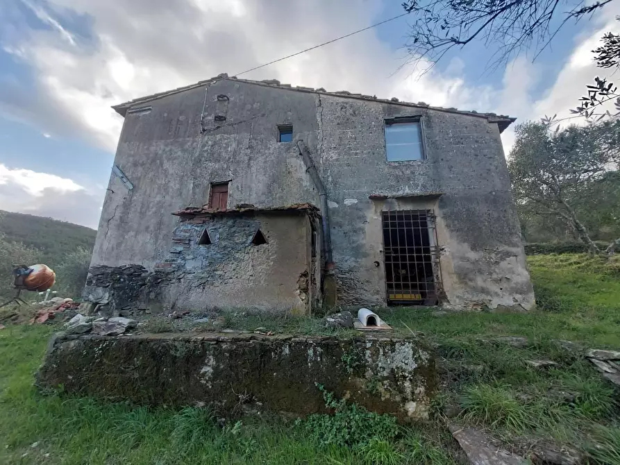 Immagine 2 di Casa indipendente in vendita  a Vicopisano