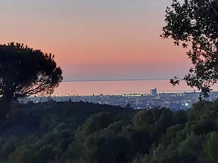 Immagine 3 di Terreno residenziale in vendita  a Livorno
