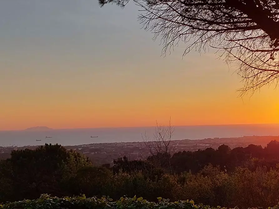 Immagine 2 di Terreno residenziale in vendita  a Livorno