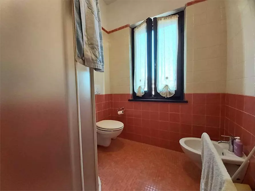 Immagine 33 di Villa in affitto  a Pietrasanta