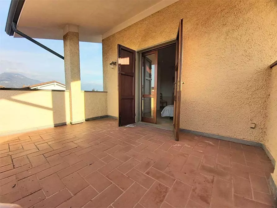 Immagine 7 di Villa in affitto  a Pietrasanta
