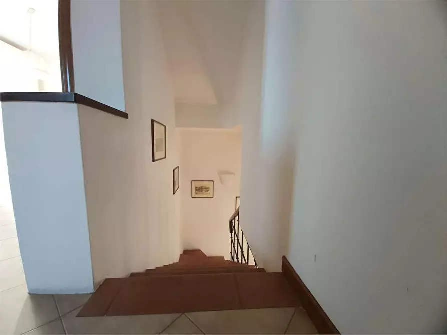 Immagine 36 di Villa in affitto  a Pietrasanta