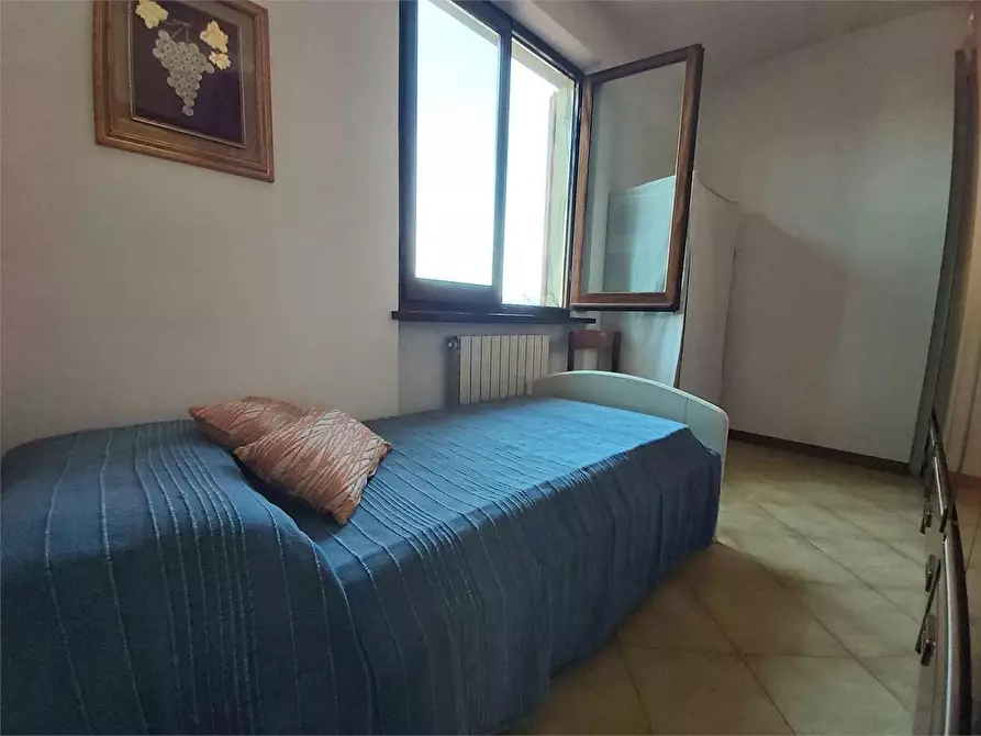 Immagine 19 di Villa in affitto  a Pietrasanta