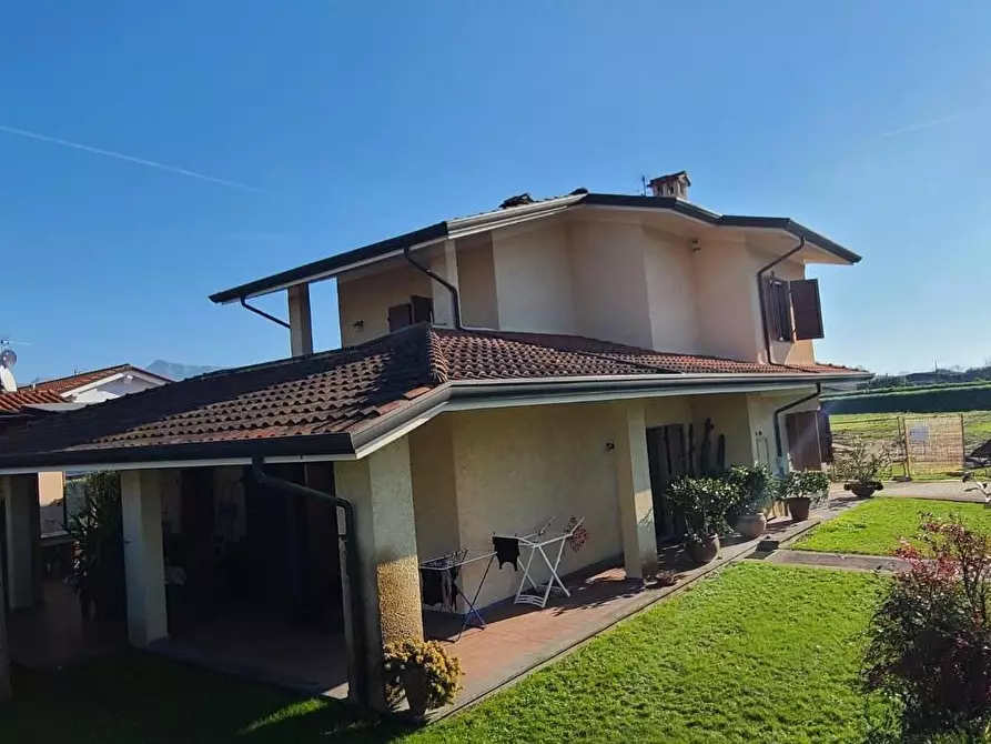 Immagine 5 di Villa in affitto  a Pietrasanta